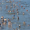 RHMZ upozorava na vrhunac toplotnog talasa u Novom Sadu i Vojvodini danas i sutra