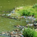 Građani se udružili i od zapuštene močvare pune smeća napravili raj za pecaroše: Jezero Laguna kod Kikinde u novom ruhu