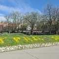 Zaječarci će na više lokacija moći da se upoznaju sa „Studentskim planom“