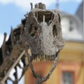 "Pripada muzeju, a ne onome ko ponudi više!": Jedan od samo tri primerka dinosaurusa prodaje se na aukciji, javnost besna…