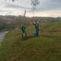 Kiša kao hrana za nove sadnice: Zbog vetra i padavina jkp "Zelenilo Beograd" intervenisalo na pet lokacija
