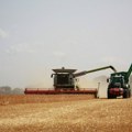 Biznis i finansije: U Srbiji proizvodnja semena upola manja od kapaciteta