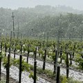 (Foto): Sneg u Srpskoj nije napravio veliku štetu: Veća opasnost za voće i povrće predstavlja mraz
