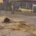 Ovo mesto u Beogradu je najkrtičnije? Kao nebo da se otvorilo u prestonici, muškarac se peške probija kroz poplavljene ulice…