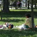 "Bez plate od 1.500 do 2.000 evra ne može normalno da se živi": Koliko košta osamostaljivanje mladih u Srbiji
