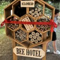 Učenici OŠ „Vožd Karađorđe” napravili hotel za divlje pčele