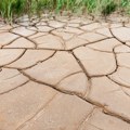 Suša u Srbiji je naša nova normalnost: Naš stručnjak upozorava: Ne računajte na stabilne rezerve vode, a ova reka je najviše…