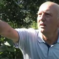 Zoran se vratio u Ivanjicu i posadio stabla sa ovim plodom: Sad ih već IZVOZI u Austriju!