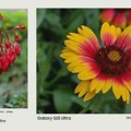 One UI 8 debituje sa novim unapređenjem za Camera aplikaciju