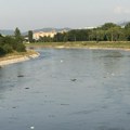 Akcija čišćenja obale reke u nedelju u Nišu