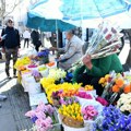 (Foto, video) Ruža od 250 do 500 dinara, manji bukti do 3.000, za veće nema interesovanja: Obišli smo pijacu pred Osmi mart