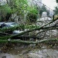 Jako nevreme "razorilo" Hrvatsku: Olujni vetar čupao stabla, rušio krovove i potopio podrume