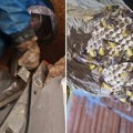 Vladica zbog najnovije akcije morao da obuče specijalno odelo: Na tavanu se suočio sa nečim mnogo opasnijim od zmija