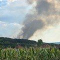 Veliki požar kod Leskovca zahvatio šumu, dim se vidi sa auto-puta