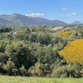 Novi toplotni talas stiže u Srbiju: temperature do 40 stepeni