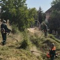 Komunalni radovi u Kragujevcu 10. septembra: Sanacija ulica, signalizacija i održavanje javnih površina