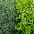 Zeleno lisnato povrće – najvažnija namirnica za zdravlje mozga