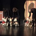 Na jesen premijera prve lutkarske predstave u Pirotu
