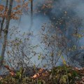 U Pirotu i Dimitrovgradu vanredna situacija zbog požara