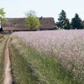 Stiže nova pomoć države za ruralnu infrastrukturu: Evo ko sve ima pravo da konkuriše