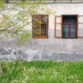 Sanja je ostavila otvoren prozor, a kad se vratila zatekla je neverovatan prizor: Jedni kažu sreća, drugi da ih što pre izbaci!…