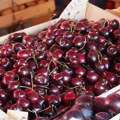 Cene podivljale, ovo je van pameti: Da li biste platili 2.340 dinara za kilogram trešanja?