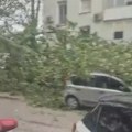 Snažno nevreme pogodilo Sloveniju i Hrvatsku: Vetar ruši stabla u Zagrebu