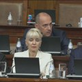 Lončar opoziciji: Među vama ima talentovanih, Vučić će sigurno nekog uzeti