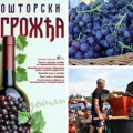 Крећу „Баношторски дани грожђа“ – Грожђебал у знаку јубилеја: Врхунска вина, тамбураши и концерт Јоване Пајић