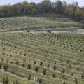 Plantaža lešnika i solarna elektrana u Lunjevici: Zajedno rehabilitovali stari put za dobrobiti svih FOTO