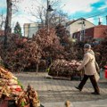 Da li će Badnji dan biti neradni dan? Data je preporuka, a advokat nam je objasnio šta to znači: "Nema duplih dnevnica"