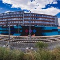 NAJVEĆI MURAL NA SVETU INSPIRISAN PIROTSKIM ĆILIMOM OSLIKAN U ČEŠKOJ: Delo srpskog umetnika Pedje Te8
