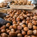 Turska: Cena lešnika porasla na 9.400 evra po toni