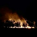 Požar u Laćarku: vatra zahvatila dvorišta kuća