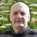 Priznaje je i zvanična medicina: Trava koja raste svuda rešava gasove i grčeve, a njen melem je spas za rane