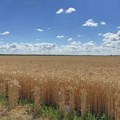 „Srpski seljak skuplja mrvice“: Odbornik Đurin kritikovao agrarnu politiku države