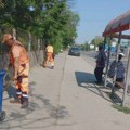 Radovi na održavanju zelenih i javnih površina na više lokacija u Nišu
