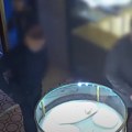 Grupa Srba pokrala dijamante dok su pili rakiju Detalji filmskih pljački u Milanu (video)