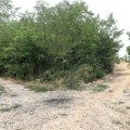 Prošli smo stazom kojom je zalutao dečak iz Vrčina: Ovde sve izgleda isto, horor za mališana trajao čitav sat