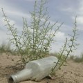 РХМЗ објавио упозорење на пољопривредну сушу која може значајно смањити приносе