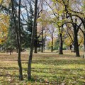 Сунчано и топло време, у Врању до 26 степени