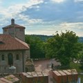 Nikita Milivojević: Sredstava za Šekspir festival izostala i od Opštine Inđija i od Pokrajine