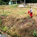 Bitka protiv komaraca u Paraćinu: Upozorenje pčelarima da zatvore košnice