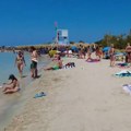 Riba zec se širi Mediteranom i izaziva uzbunu: Grčke vlasti započinju specijalnu akciju za njeno uklanjanje (foto)
