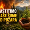 Zaštitimo šume od požara: „Srbijašume“ uputile važan apel građanima