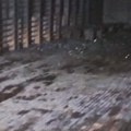 Izgorela fiskulturna sala u osnovnoj školi u Kikindi, nema povređenih