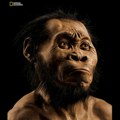 Контраверзни доказ: Хомо наледи сахрањивао своје мртве 100.000 година пре првих познатих сахрана