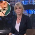 Pinkova voditeljka raspametila u bikiniju! U Dnevniku svedeno odevena, a u kupaćem bomba - pogledajte Tanju Rađenović!