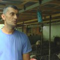 Jovašević iz Preljine preduzeo sve mere preventive protiv zaraze svinjskom kugom