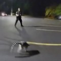 Lemur u bekstvu Urnebesna jurnjava za stvorenjem koje je pobeglo u Misuriju (video)